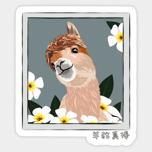 Vicuna Guanaco Llama Breeder Alpaca Sticker